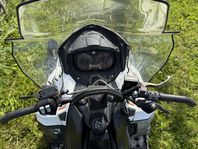 LYNX 49 RANGER 4100 600 ACE 2019