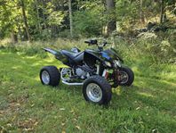 SMC Wildcat 503