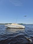 Sea Ray
