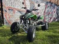 Arctic cat DVX 400 vägreggad