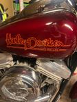Harley Davidson FXR Superglide