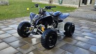 Can-am Ds90x