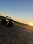 Kawasaki Mule sx (UTV)