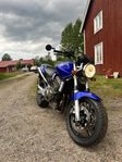 Honda 919 hornet (CB 900F)