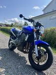 Honda 919 hornet (CB 900F)