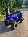 PGO XR-50 Mopedreggad