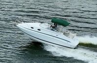 Chris Craft 240 Express Cruiser