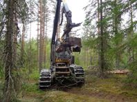 Eco Log 560D