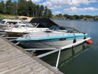 Chris Craft Scorpion 230