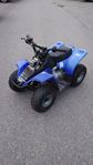 Kazuma 50cc