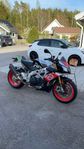 Aprillia Tuono V4RF 2017