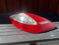 Panamera baklykta