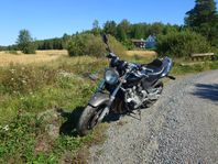 Honda cb600 hornet