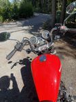 Kawasaki EN 454 Ltd