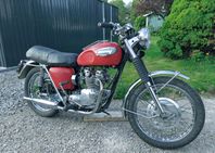 Triumph T100T Daytona 
