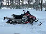Polaris switchback Assault 800