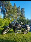 Suzuki VZ 800 Marauder 