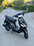 Viarelli GT 1 2020