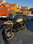 Triumph Street Cup -2017 +