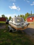 Örnvik 481