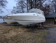 Searay 280/315