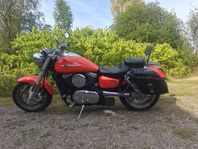 Kawasaki Vn1600 MS