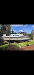 Chris Craft V8 motor