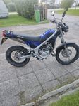 Rieju tango 50 -2010, OBS 14mil
