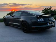 Ford Mustang GT 5.0 Roush Steeda