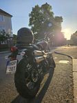 Triumph Scrambler 900