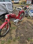 puch ms 50 1956(florida )ram nr motor nr samma .