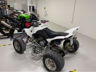SMC wildcat 503 cc Racing edition nybesiktad 