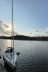 Hanse 312; Performance-rigg