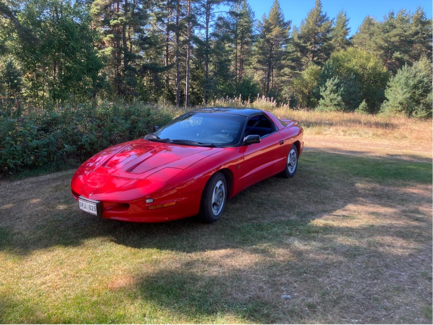Pontiac Firebird 3.4 V6 Hydra-Matic, 148hp, 1994