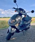 PGO T-Rex 150