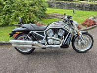 Harley-Davidson V-Rod VRSCR Street Rod