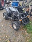 bashan 200cc reggad