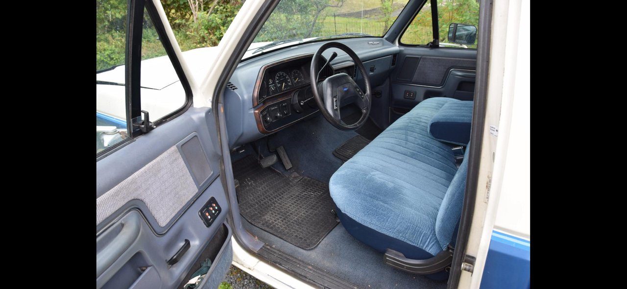 Ford F-150 Regular Cab 5.8 V8 EFI SelectShift, 213hp, 1990