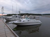 Sea ray 250 sundancer