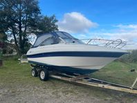 Askeladden 645 beetle