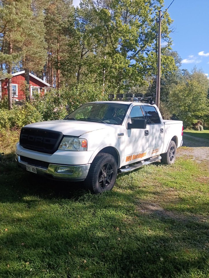 Ford F-150 SuperCrew 5.4 V8 S...