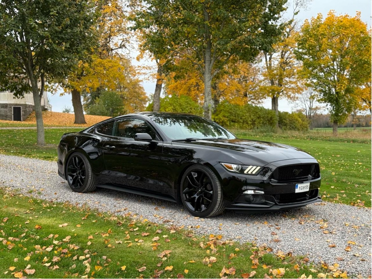 Ford Mustang GT Manuell, 441hk, 2015