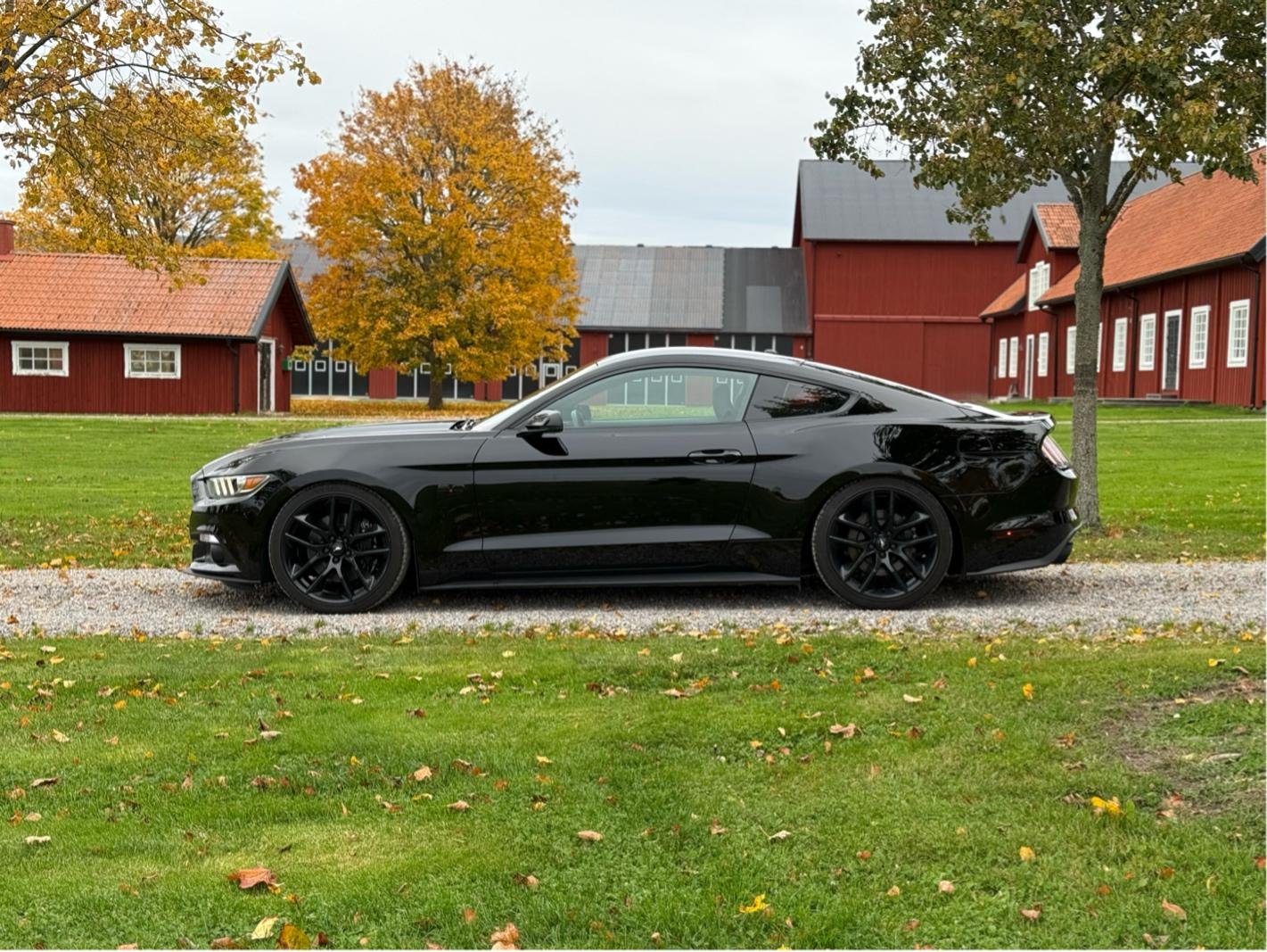 Ford Mustang GT Manuell, 441hk, 2015