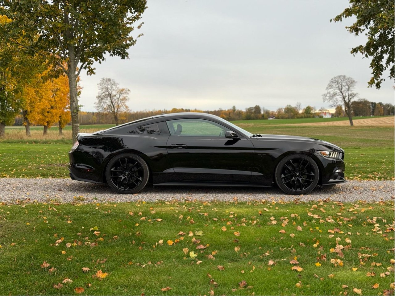 Ford Mustang GT Manuell, 441hk, 2015