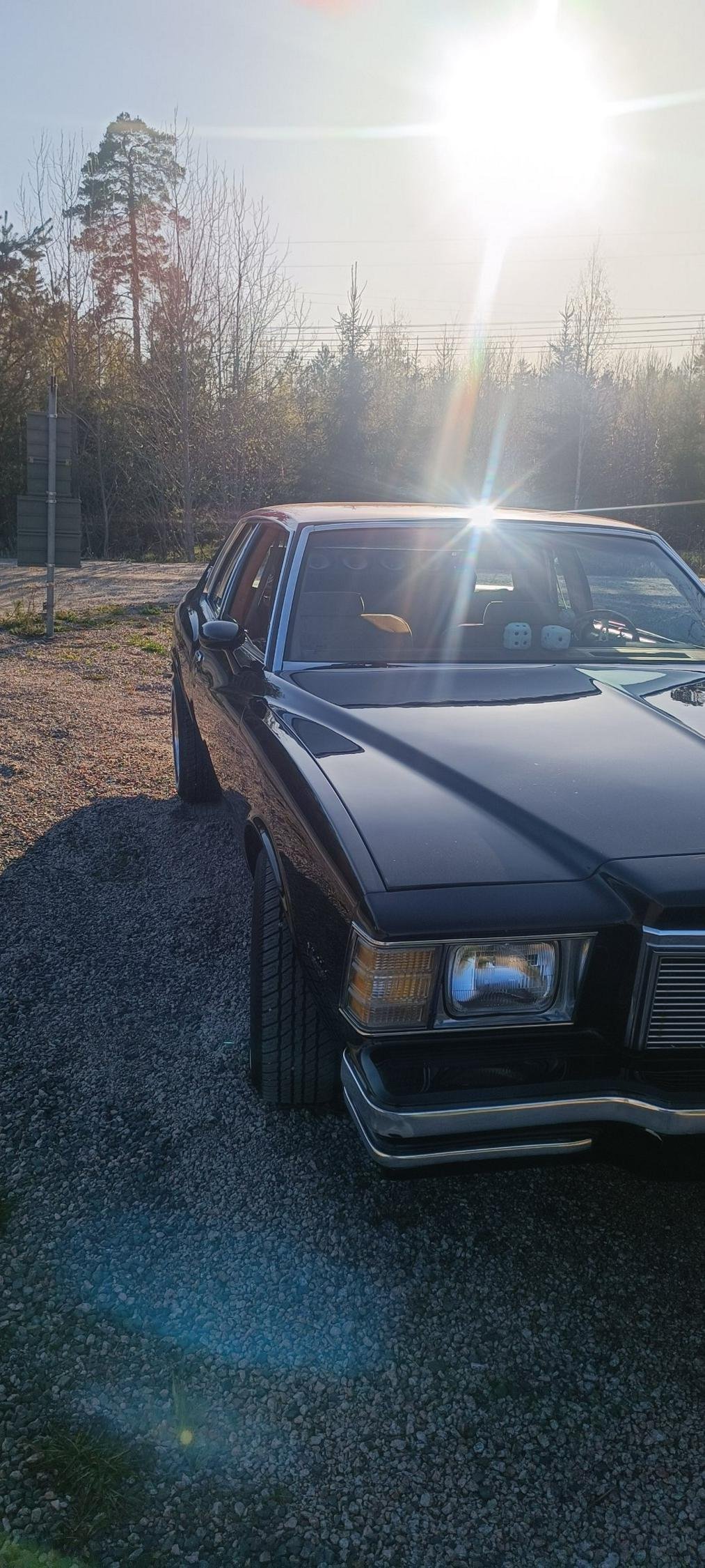 Chevrolet Monte Carlo 5.0 V8 Hydra-Matic, 162hp, 1979
