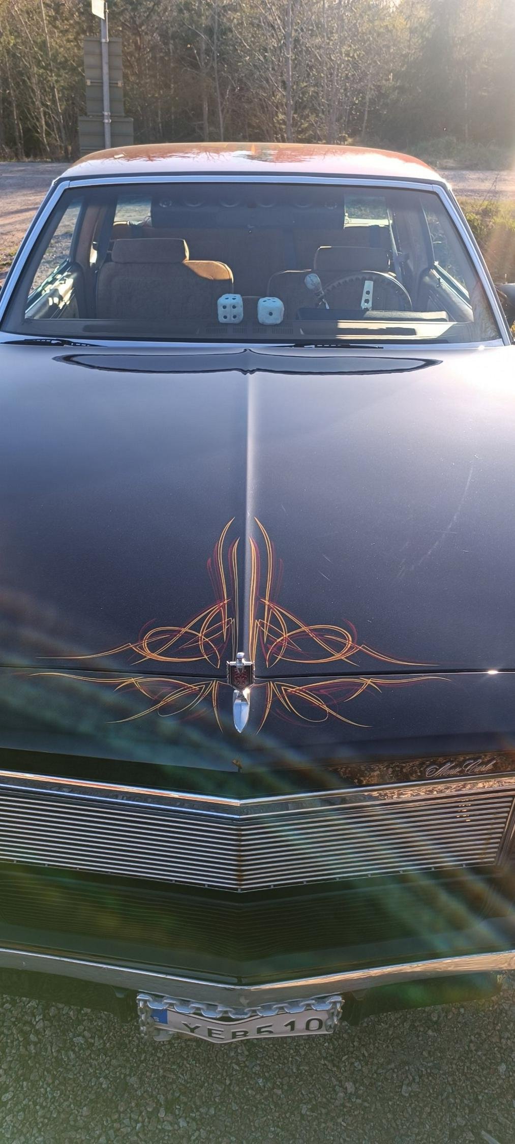 Chevrolet Monte Carlo 5.0 V8 Hydra-Matic, 162hp, 1979