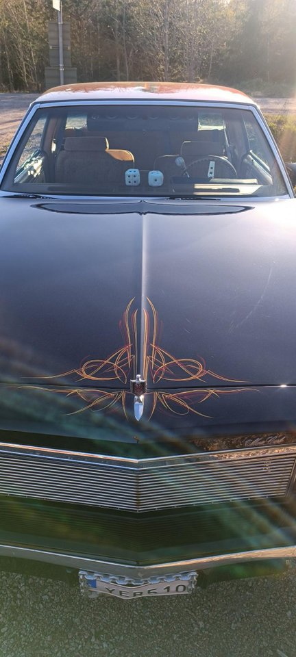 Chevrolet Monte Carlo 5.0 V8 Hydra-Matic, 162hp, 1979