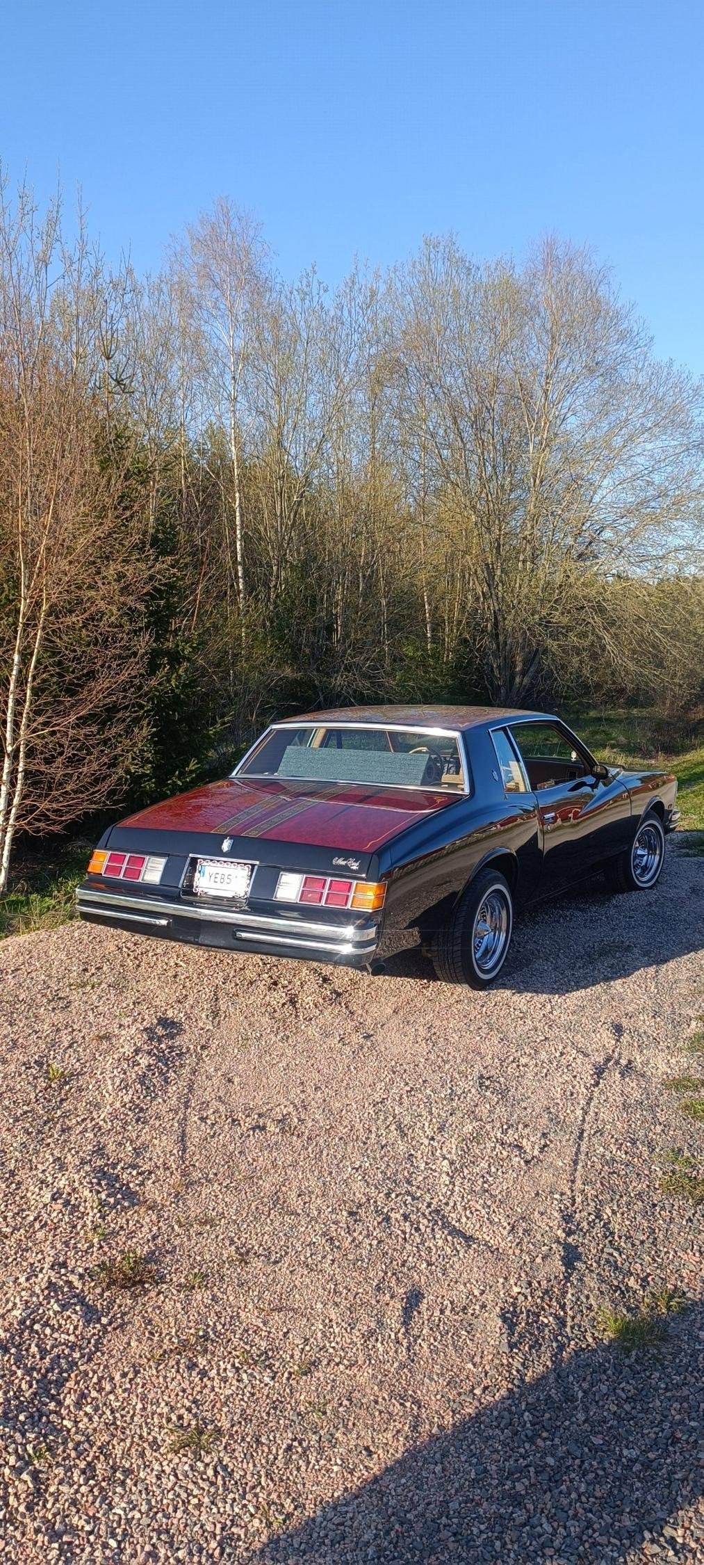 Chevrolet Monte Carlo 5.0 V8 Hydra-Matic, 162hp, 1979