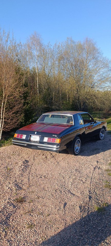 Chevrolet Monte Carlo 5.0 V8 Hydra-Matic, 162hp, 1979