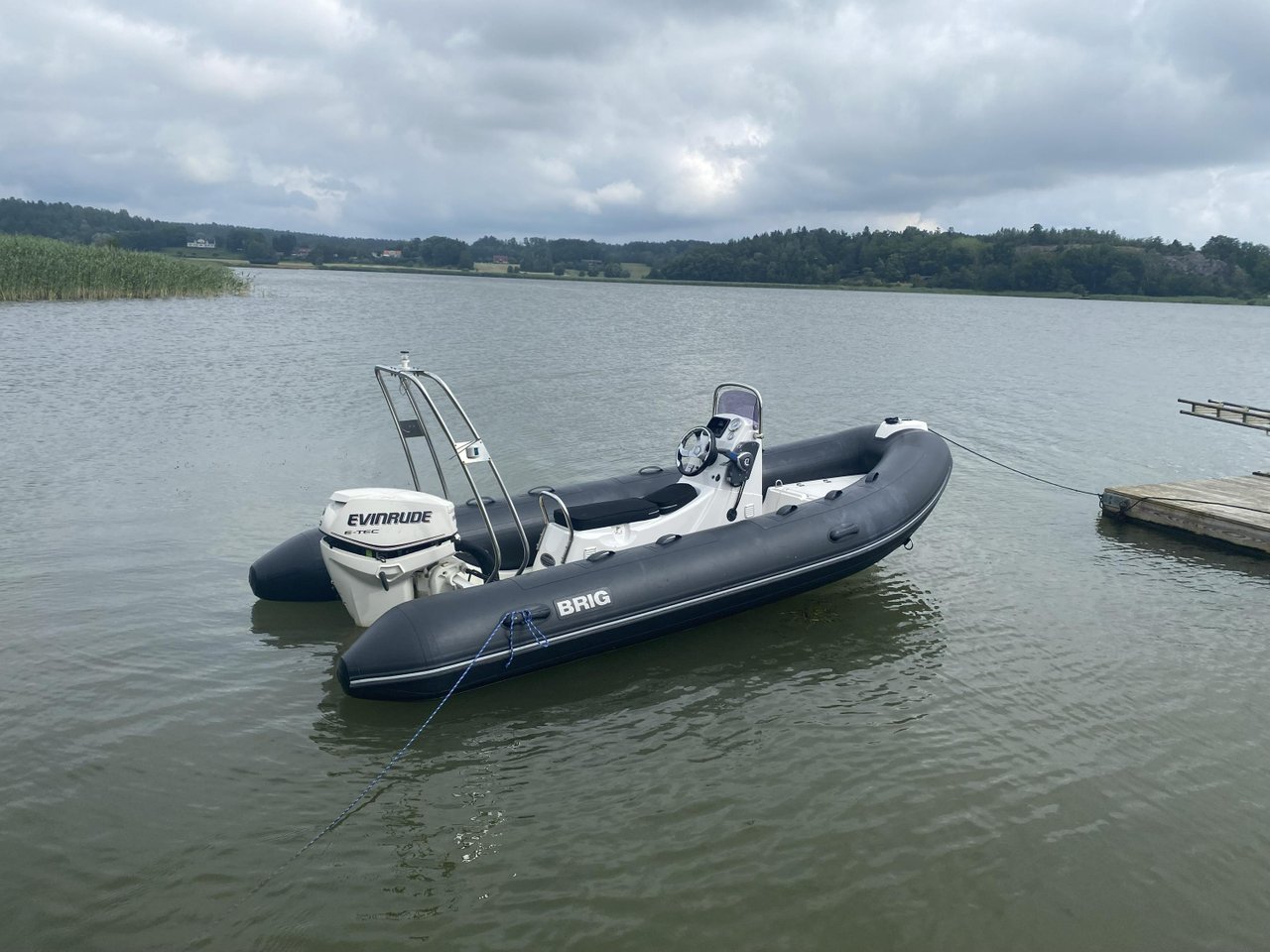 BRIG Falcon 450 med Evinrude ...